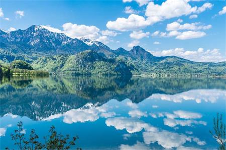 爆文800萬學區(qū)房帶給文案的思考