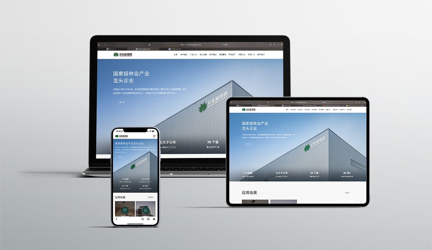 美耐獅板材品牌定位案例